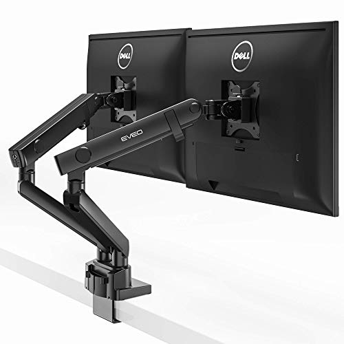 Dual Monitor Stand by Eveo review