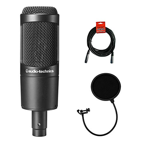 Audio-Technica AT2035 Cardioid Condenser Microphone review